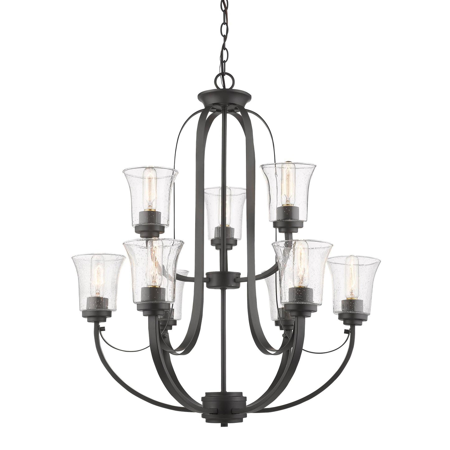 Z-Lite 461-9BRZ 9 Light Chandelier, Bronze BIQ4_W3AQX78