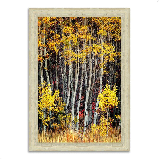 Tangletown Fine Art 63x22 x 44x22 in The Aspens Framed Photograph Print QTE3_W3OEN82