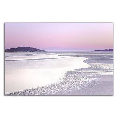 silver Silence& by Lynne Douglas - Wrapped Canvas Graphic Art Print Dovecove Size: 24x22 H x 36x22 W x 1.5x22 D GTI3_T8VOJ96