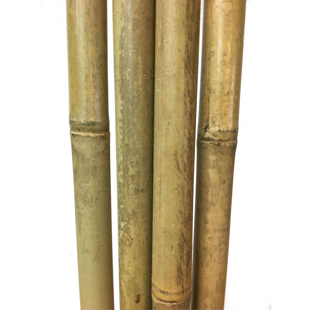 Tonkin Bamboo Pole MGP RMO1_M0WNN36