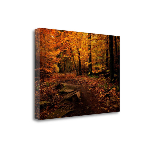 32x22 x 45x22 Autumn Path by Natalie Mikaels Fine Art Giclee Print JHZ1_J3DWM56